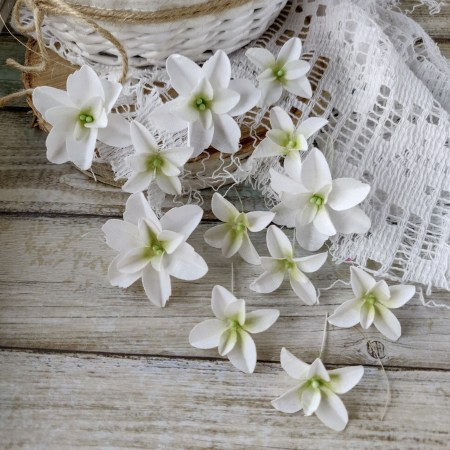Гортензии дуболистные, белые, ТМ Pastel flowers, купить - БлагоЛис