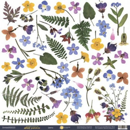 Лист односторонней бумаги 30x30 от Scrapmir Цветы из коллекции Herbarium Wild summer, купить - БлагоЛис