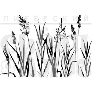 Фотополимерный штамп Полевые травы 07Пр065, 7 х 10 см, купить - БлагоЛис