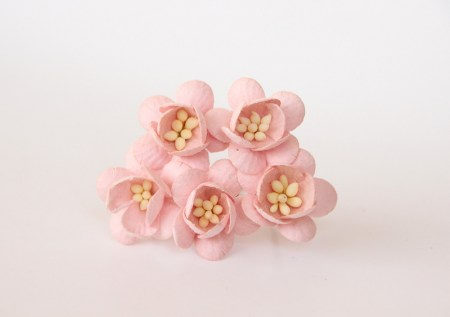 Цветок вишни - Розово-персиковый 123 , купить - БлагоЛис