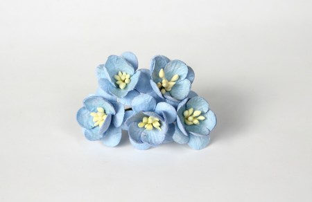 Цветок вишни Голубой, купить - БлагоЛис