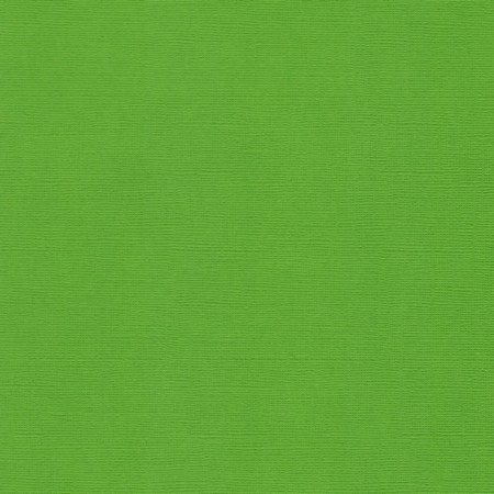 Кардсток текстурированный FleurТравяной зеленый, 30,5*30,5, плотность 216 г/м,, купить - БлагоЛис