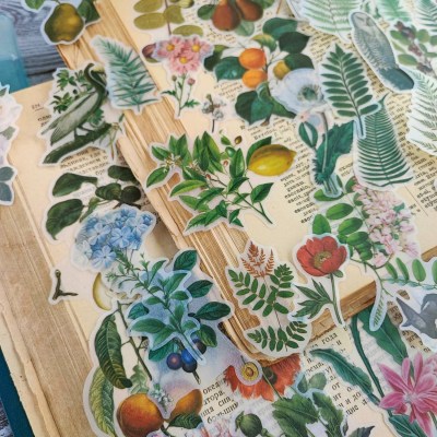 Набор стикеров на васи бумаге "Ferns stickers", 66 шт. 