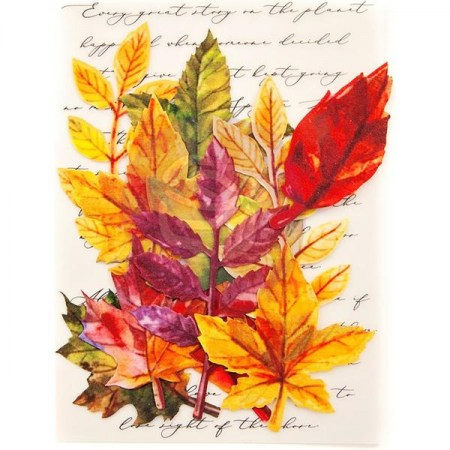 набор тканевых листочков Printed Fabric Leaf Embellishments Fall Solstice, 12 штук, Prima Marketing  , купить - БлагоЛис