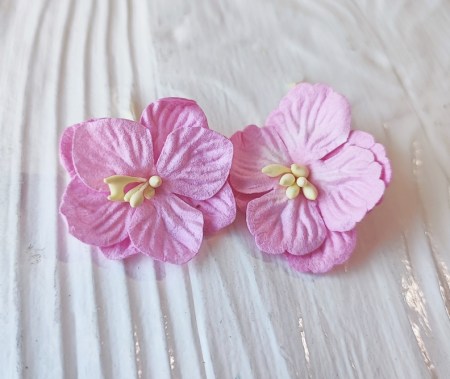 Цветки вишни SCB, розовый, купить - БлагоЛис