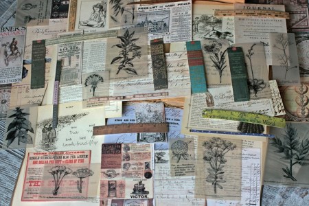 Большой набор страничек, карточек из текстурной бумаги, кальки "Книжная полка", 50 шт., купить - БлагоЛис