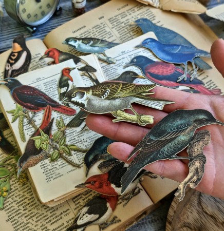 Набор картонных лазерных высечек "Beautiful birds", 16 элементов, ТМ Hand Made Paper, купить - БлагоЛис
