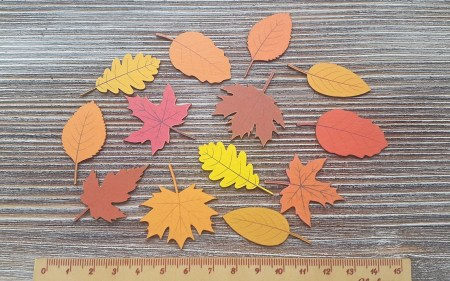 Набор Осенние листья, 13 шт. (цветной), купить - БлагоЛис