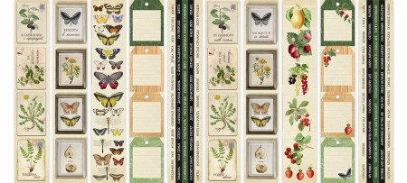 Набор полос с картинками для декорирования Summer botanical diary 5 шт., 5 х 30,5 см, Фабрика Декора, купить - БлагоЛис