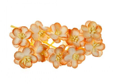 Цветки вишни SCB, персиковый, купить - БлагоЛис