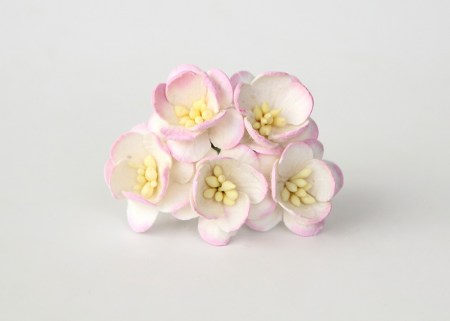 Цветок вишни - Белый+св.розовый 519 , купить - БлагоЛис