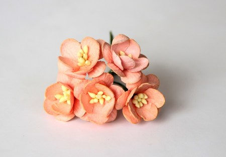 Цветок вишни - Персиковый 135 , купить - БлагоЛис
