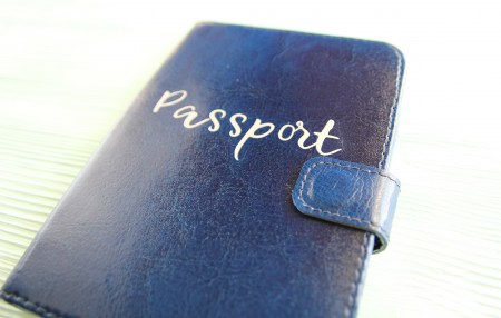 Надпись из термотрансферной пленки "Passport", длина 6.5 см, купить - БлагоЛис