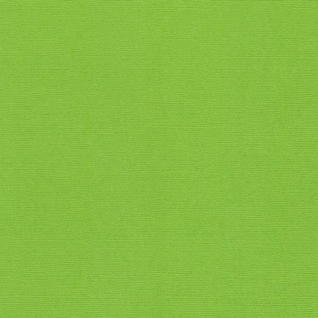 Кардсток текстурированный Fleur Светлая зелень , 30,5*30,5, плотность 216 г/м,, купить - БлагоЛис