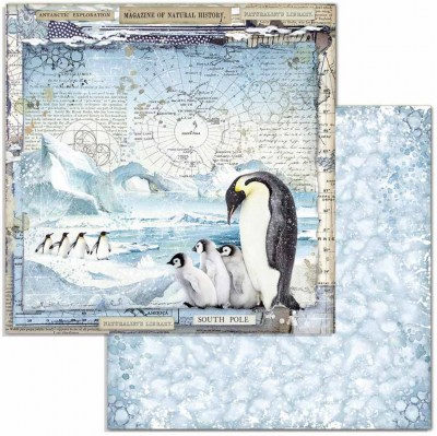 Набор двусторонней бумаги для скрапбукинга Arctic Antarctic  30,5 х 30,5 см, 190 гр, 12 двусторонних листов, Stamperia