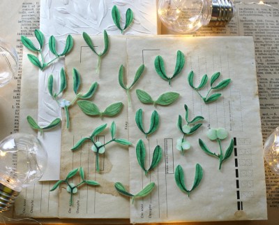 Набор тканевых высечек "Вечнозеленая, между прочим", 18 элементов, БлагоЛис